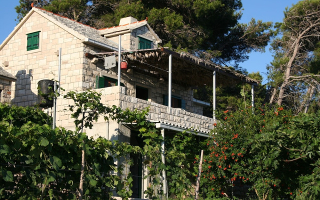 House Svjetlana