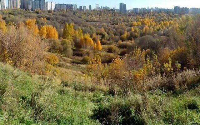 Pokhodnyi