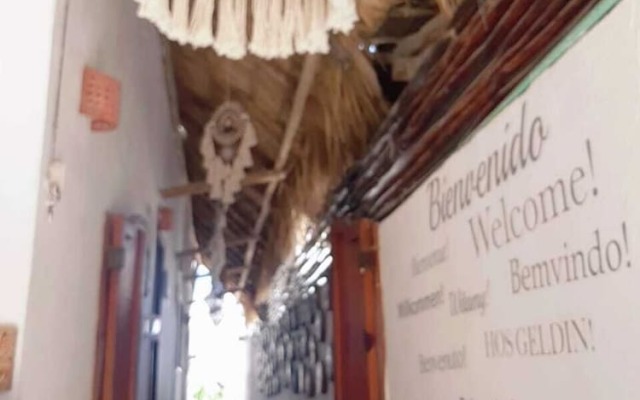 Hostel La Isla Holbox