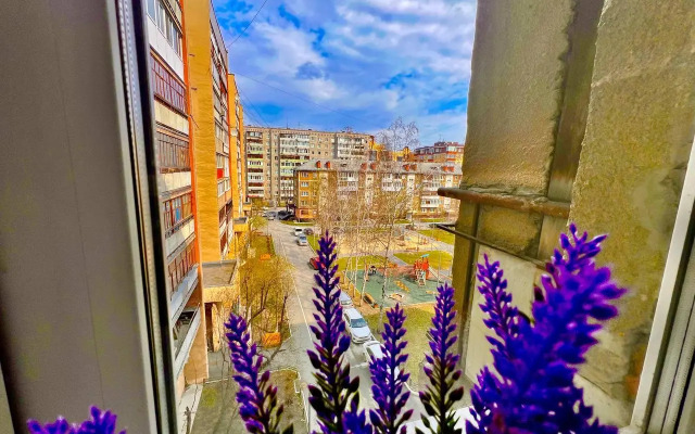 Риконе на улице Максима Горького