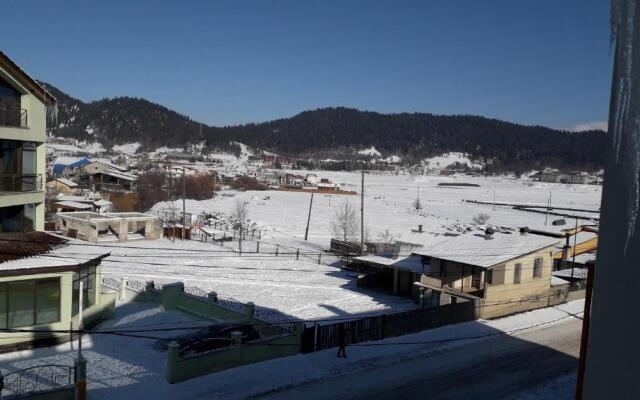 1 room apartment in Bakuriani