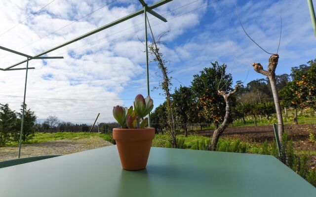 Vila Coura - Agroturismo