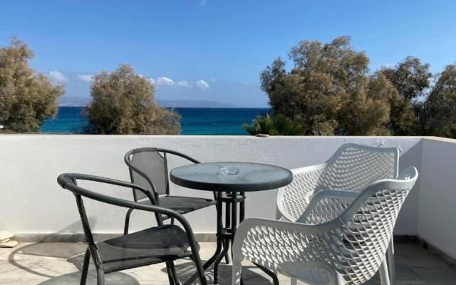 cactus beach paros