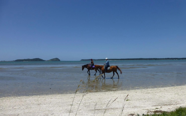 Tranquil Private Rural Retreat – Beach – Whakamarama