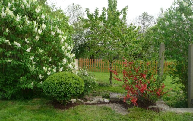 Hof Kiebitz - In Ostrau