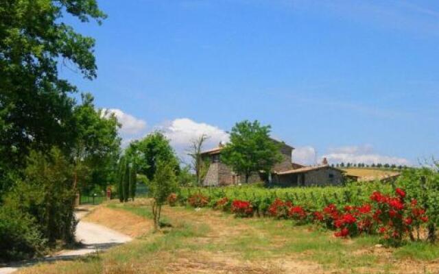 Agriturismo Il Poggio di Orvieto