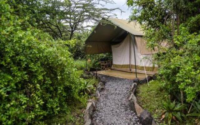 Punda Milias Nakuru Camp