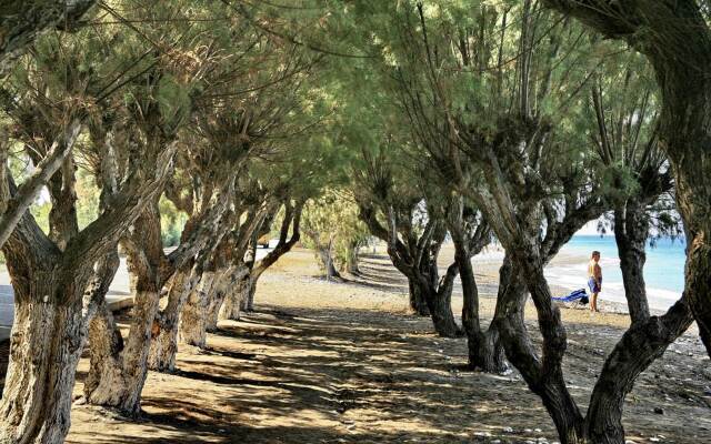 All Senses Ocean Blue Sea Side Resort