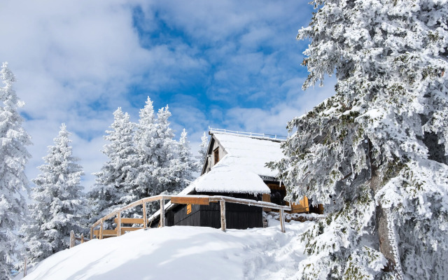 Chalet Tisa Velika Planina