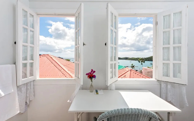 At Home in the Tropics