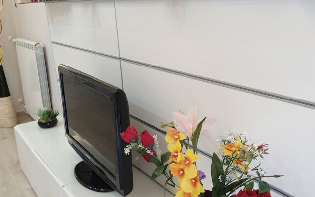 Lovely Flat in the Historical Center