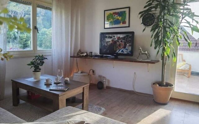 Charming Apartment Center Split Terrace & Parking