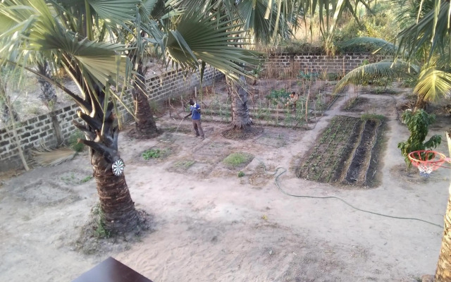 Real Owl Guest House