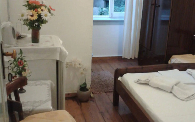 Stella Traditional Pension