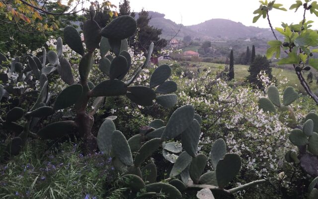 La Casa Dei Mandorli