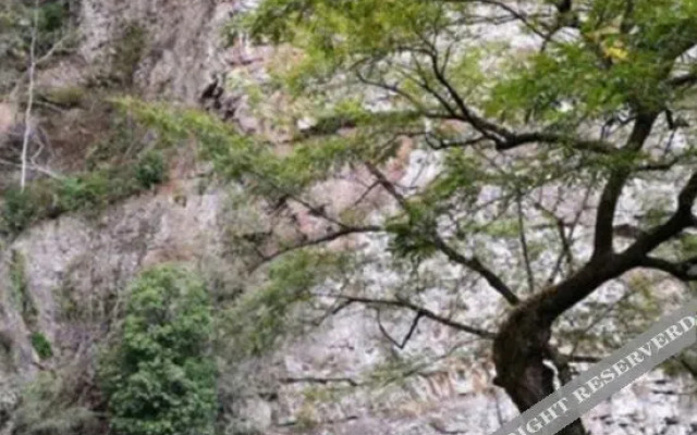 Yuxian Shanlin Xiaoyuan Inn