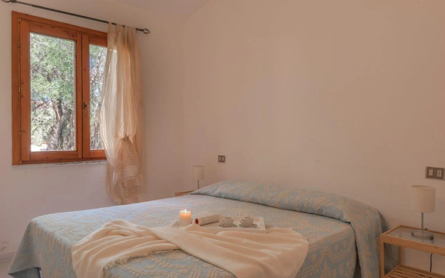 San Teodoro (Apt. 561646)