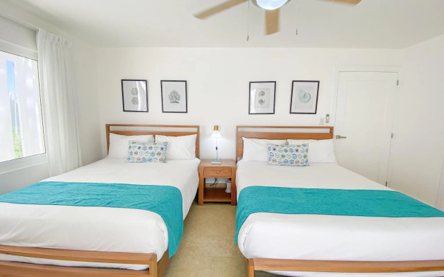 Xeliter Green One Playa Dorada
