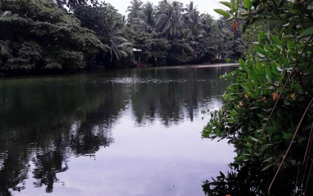 Serene Vista Villa