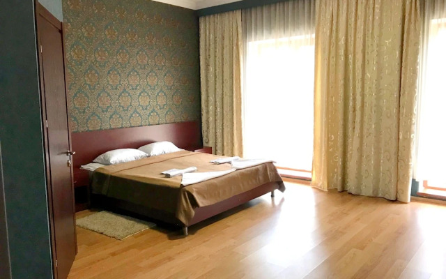 Отель Meskheti Palace