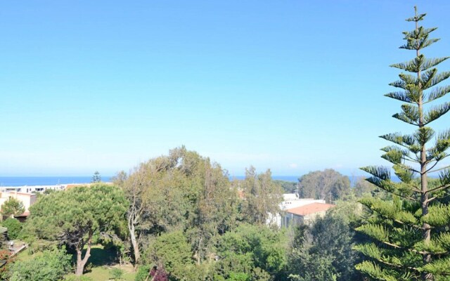 Tonino Stintino in Stintino