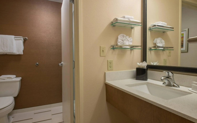 Fairfield Inn & Suites by Marriott Dallas Lewisville