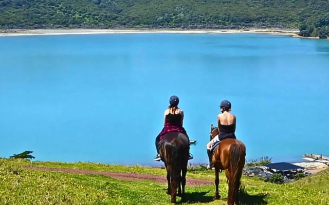 Waiheke Backpackers Hostel