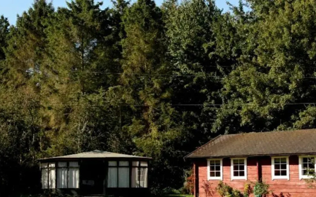Woodland Lodge-art Activ
