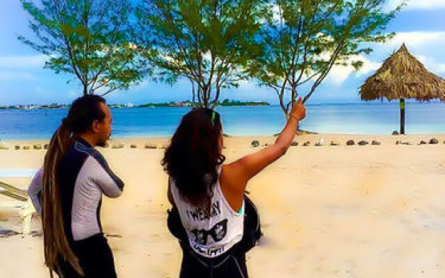 The Venue - Utila
