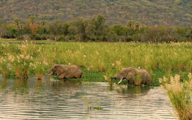 Waters Edge By Serendib