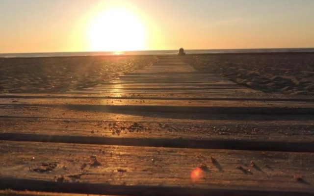 Solar De Las Gaviota