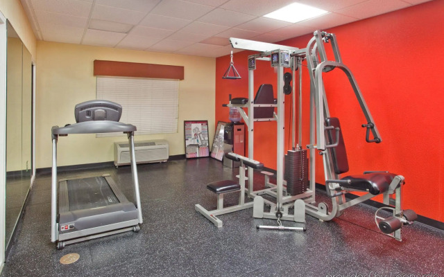 Spark by Hilton Sumter