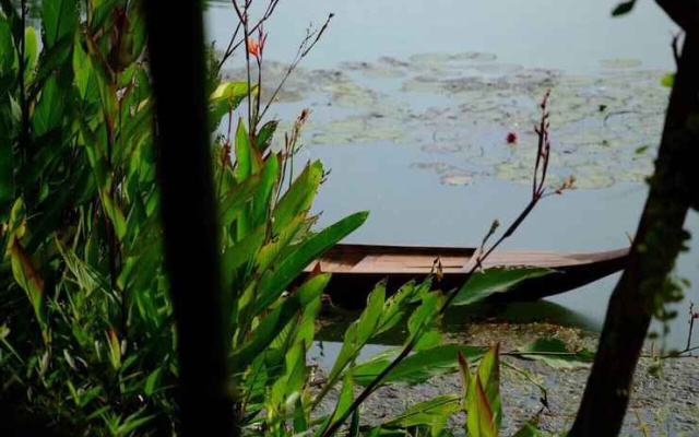 Chanmai Resort (ชานไม้ รีสอร์ท)