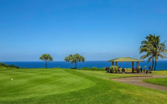 Kamahana 16