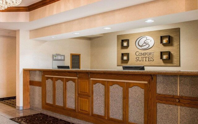 Comfort Suites South Haven near I-96