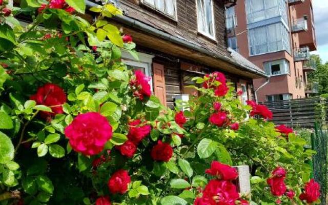 Wooden apartments