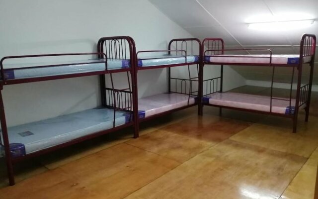 Single Bed in Mixed Dormitory Room With Ac