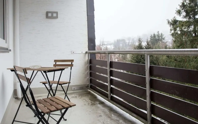 Ferienwohnung mit Balkon an der Piste