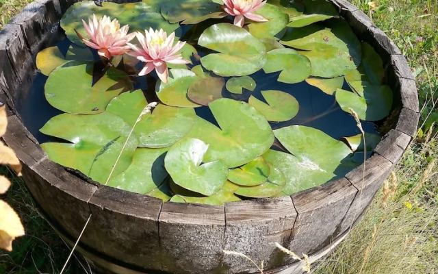 The Bread Oven House