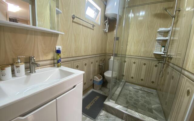 7 континент