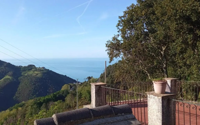 La quiete accesa