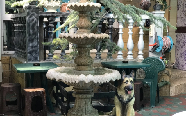 Magic Patio