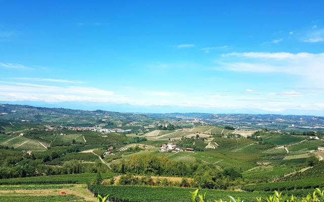 Villa Bellavista Alba