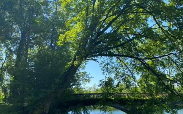 Domaine de Vadancourt