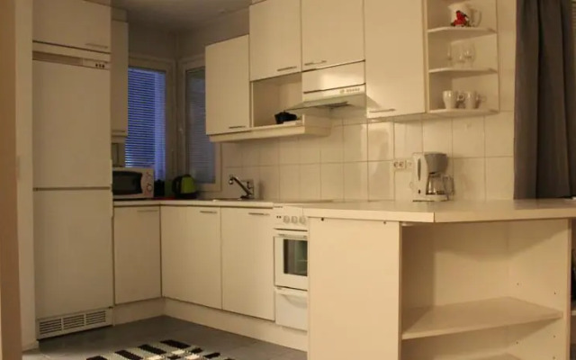 Apartment Lumikontupa