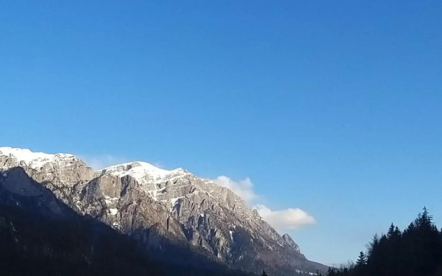 Apartament GreenStar