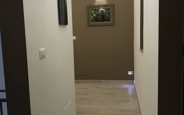 Forentum Suite