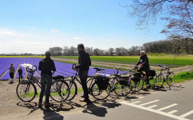 Bed&Breakfast Alkmaar onder de watertoren