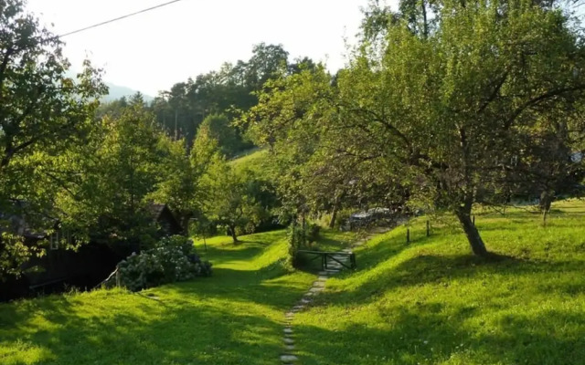 The Holler Comfortable Holiday Residence