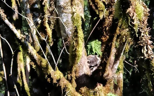 The Perch at Moon Dance